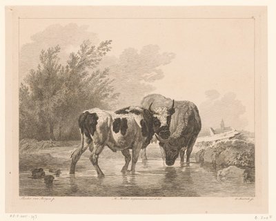  द्वारा मार्टिन वॉन मोलिटर