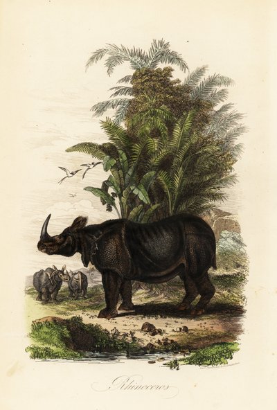  द्वारा एडॉल्फ (बाद में) फ्राइज़