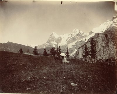 लैंडस्केप, स्विट्जरलैंड, सी। 1860. द्वारा आदोलपे ब्रौन