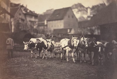 बिना खेत वाले पशु, 1850। द्वारा आदोलपे ब्रौन