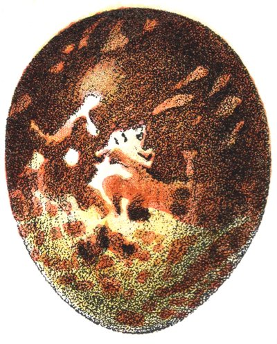 एग ऑफ ए हनी बज़र्ड (पर्निस एपीवोरस), 1923 द्वारा एडोल्फ फिलिप मिलोट