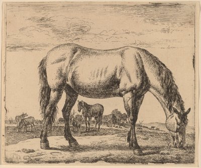चरने वाला घोड़ा द्वारा Adriaen van de Velde