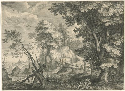  द्वारा Roelant Savery