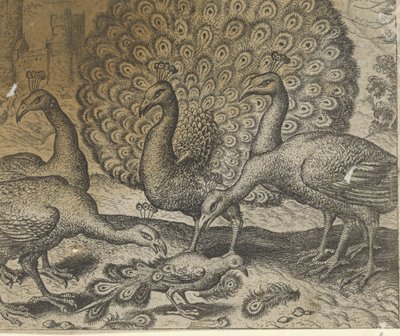  द्वारा मार्कस घिरर्ट्स (आई)
