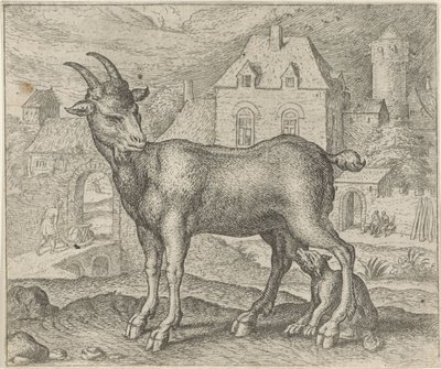  द्वारा मार्कस घिरर्ट्स (आई)
