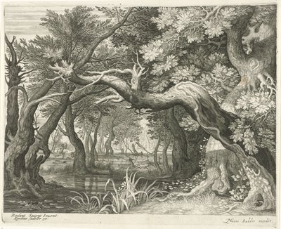  द्वारा Roelant Savery