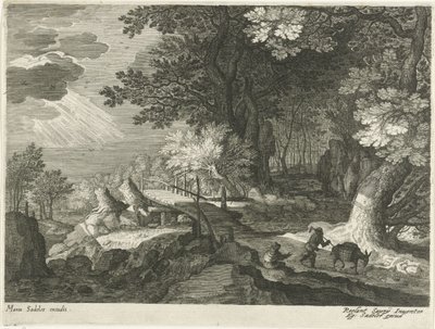  द्वारा Roelant Savery