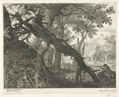  द्वारा Roelant Savery