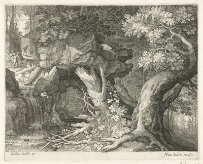  द्वारा Roelant Savery