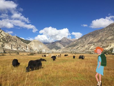  द्वारा एग्नेस गिरार्डन