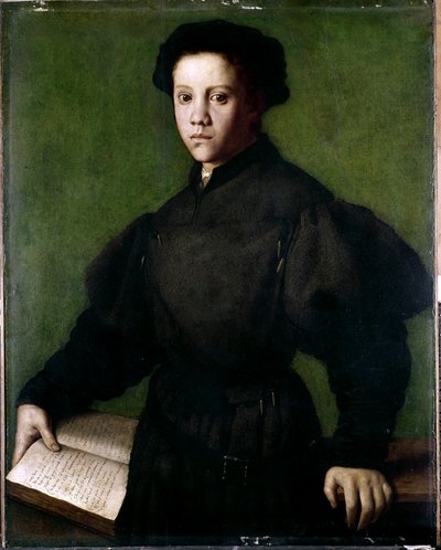  द्वारा Agnolo di Cosimo Bronzino