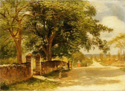 नासाउ में स्ट्रीट, c.1878 द्वारा अल्बर्ट बिएरस्टाड