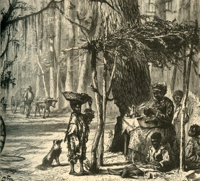 चार्ल्सटन, 1872 के पास एक सड़क के किनारे का दृश्य। द्वारा अल्बर्ट बोबेट