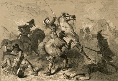 शिकागो में 1878 में श्रीमती हेडल एंड सेवेज। द्वारा अल्बर्ट बोबेट