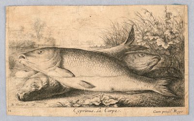 काप द्वारा Albert Flamen