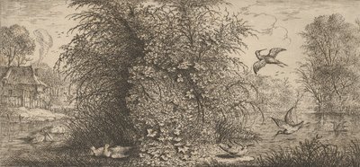 रुस्तिकुला माइनर, बेकासीन द स्निप: लिवर डी'ऑसॉक्स बुक ऑफ बर्ड्स, 1655-1660।, द्वारा अल्बर्ट फ्लेमिश