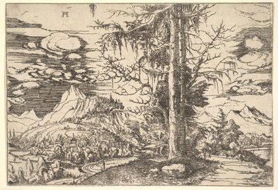 डबल स्प्रूस के साथ लैंडस्केप, सीए। 1521-1522। द्वारा अल्ब्रेक्ट अल्टरडोरर