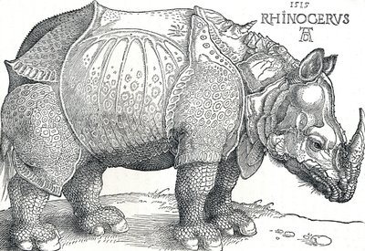 एक गैंडा, 1515, 1906 द्वारा अल्ब्रेक्ट ड्यूरर