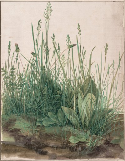 बड़ा लॉन द्वारा Albrecht Dürer