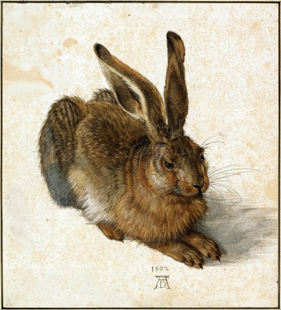 हरे (प्रतिशोधित) द्वारा Albrecht Dürer