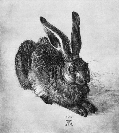 हरे, १५०२, १ ९ ३६ द्वारा Albrecht Dürer