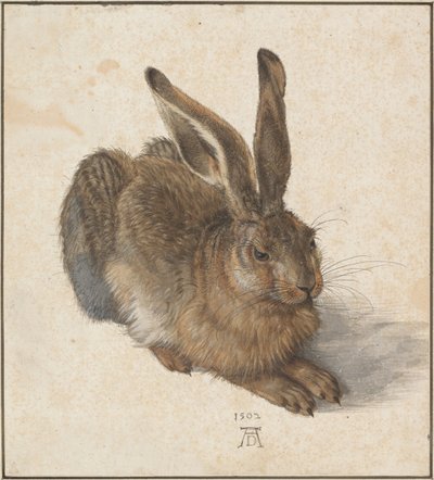 हाँ, 1502 द्वारा Albrecht Dürer