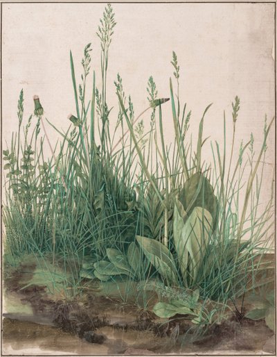 टर्फ का बड़ा टुकड़ा, 1503 द्वारा Albrecht Dürer