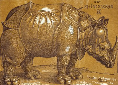 गैंडा, 1515। द्वारा अल्ब्रेक्ट ड्यूरर