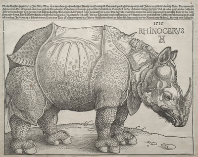 गैंडा, 1515। द्वारा Albrecht Dürer