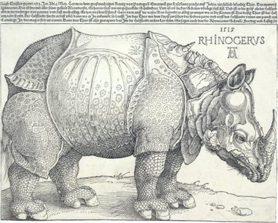 गैंडा, 1515., 1515। द्वारा अल्ब्रेक्ट ड्यूरर