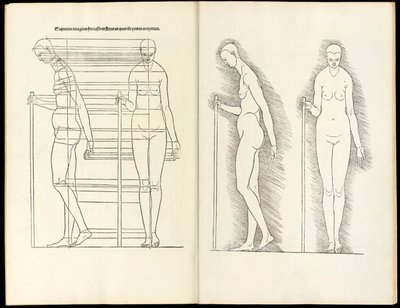 हियरिन मानव अनुपात की चार पुस्तकें हैं, 1528 द्वारा अल्ब्रेक्ट ड्यूरर