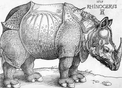 गैंडा द्वारा अल्ब्रेक्ट ड्यूरर