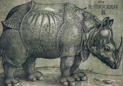गैंडा, 1515 द्वारा अल्ब्रेक्ट ड्यूरर
