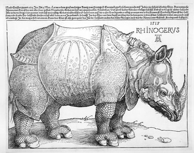 गैंडा, 1515 द्वारा अल्ब्रेक्ट ड्यूरर