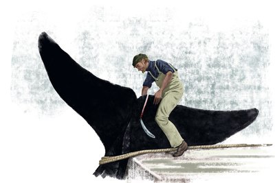  द्वारा एलेसेंड्रो लोनाटी