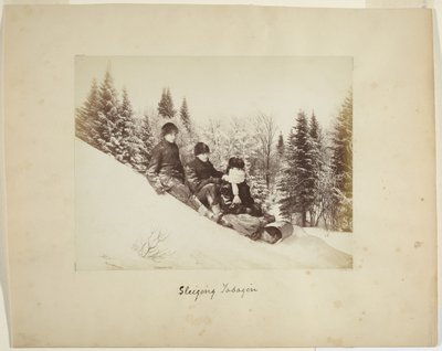 टोबोगनिंग, c.1873 (एल्बम प्रिंट (समग्र)) द्वारा अलेक्जेंडर हेंडरसन