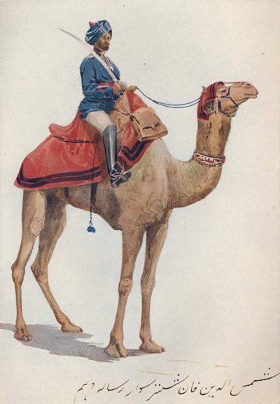 10 वीं बंगाल लांसर्स का एक कैमल-सोवर, c1880 1905। द्वारा अलेक्जेंडर हेनरी हल्लम मरे
