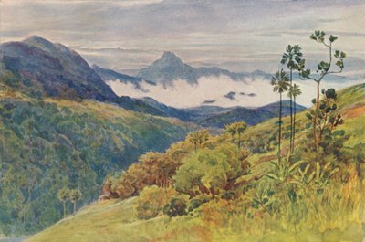 महाविली गंगा की घाटी में मॉर्निंग मिस्ट्स, c1880 1905। द्वारा अलेक्जेंडर हेनरी हल्लम मरे