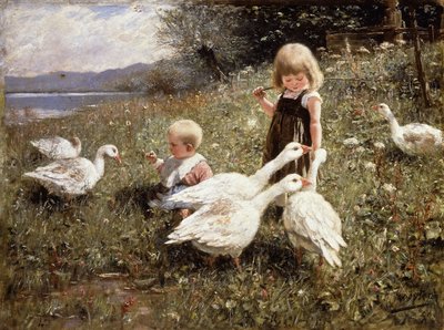 खिला गीज़; गैंसेफटरंग द्वारा Alexander Koester