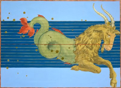 मकर राशि का नक्षत्र, 1603 द्वारा अलेक्जेंडर मायर