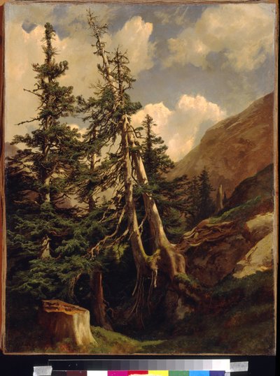 कैलमे, अलेक्जेंड्रे (1810-1864) द्वारा पहाड़ों में प्राथमिकी। कैनवास पर तेल, आयाम: 68,5x53. स्टेट ए। पुश्किन म्यूजियम ऑफ फाइन आर्ट्स, मॉस्को द्वारा अलेक्जेंड्रे कैलामे