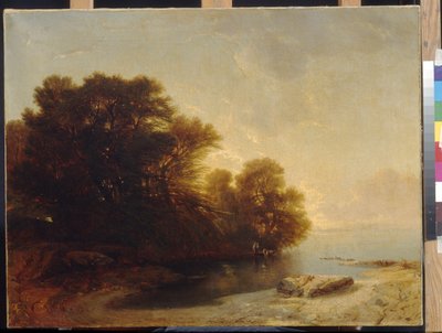 कैलमे, अलेक्जेंड्रे (1810-1864) द्वारा झील पर पेड़। कैनवास पर तेल, आयाम: 62x81. स्टेट ए। पुश्किन म्यूज़ियम ऑफ़ फाइन आर्ट्स, मॉस्को द्वारा अलेक्जेंड्रे कैलामे