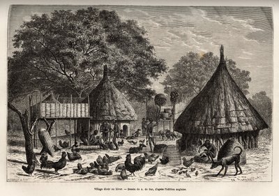 सर्दियों में गांव डायौर (सूडान) और समुदाय द्वारा लाए गए जानवरों के बीच में निवासियों की दैनिक गतिविधियां, ए डी बार के चित्र के बाद उत्कीर्णन, 1868-1871 में अफ्रीका के दिल की यात्रा को दर्शाते हुए, डॉ। जॉर्जेस श्वाइनफ़र्ट द्वारा अलेक्जेंड्रे डे (बाद) बार