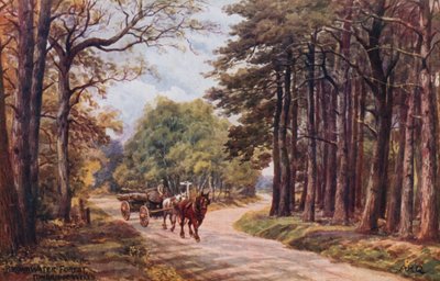 ब्रॉडवाटर फ़ॉरेस्ट, टुनब्रिज वेल्स द्वारा Alfred Robert Quinton