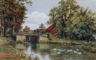 Coltishall Lock, Bure पर द्वारा अल्फ्रेड रॉबर्ट क्विंटन