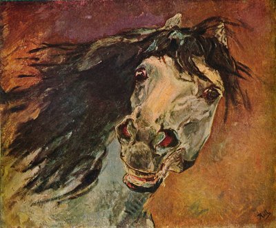 अंडालूसी घोड़ा सिर, c1910 द्वारा अल्फ्रेड रोल