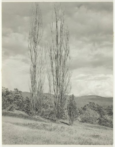 पोपलर-लेक जॉर्ज, 1935। द्वारा अल्फ्रेड स्टिग्लिट्ज़