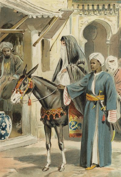 अरेबियन नाइट्स: द हिस्ट्री ऑफ़ अबुलहसन और शेम्सलीनिहार द्वारा अल्फ्रेड डब्ल्यू कूपर