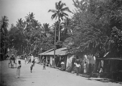 माउंट के रास्ते पर सड़क के किनारे का दृश्य। लाविनिया, सी 1890, 1910 द्वारा अल्फ्रेड विलियम अमैंडस प्लेट