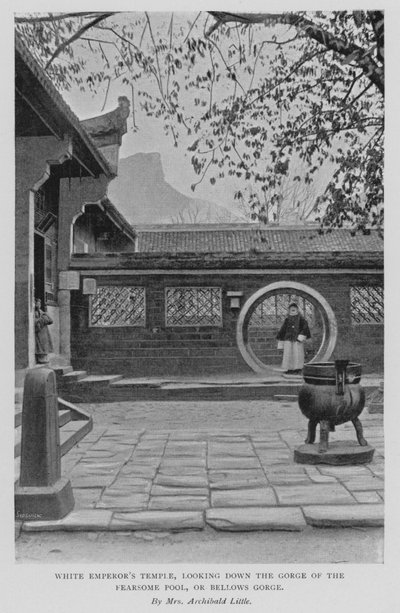सफेद सम्राट का मंदिर, डरावने पूल के कण्ठ को देख रहा है, या धौंकनी कण्ठ (बी / डब्ल्यू फोटो) द्वारा एलिसिया लिटिल